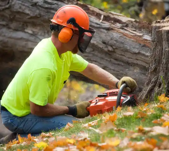 tree services Vardaman